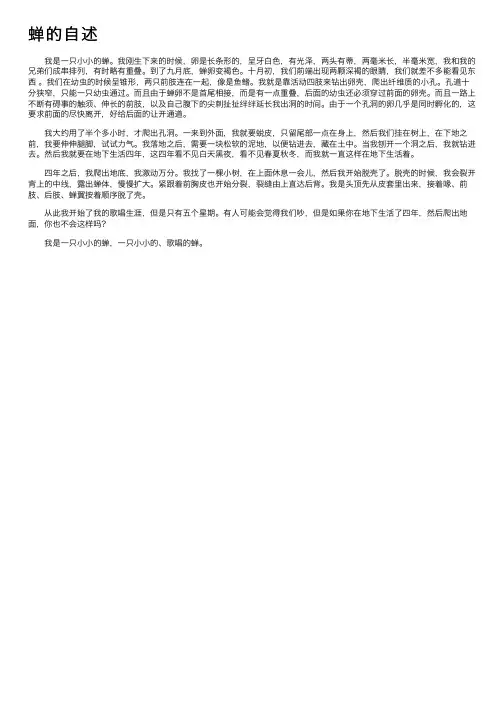 蝉的自述——精选推荐