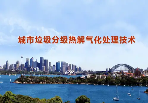 城市垃圾热解气化技术