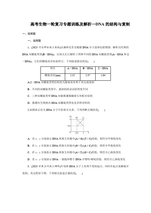 高考生物一轮复习专题训练及解析—DNA的结构与复制