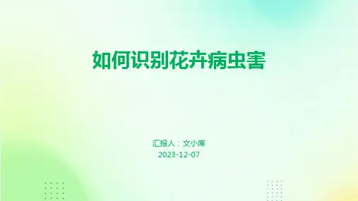 如何识别花卉病虫害