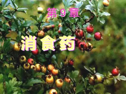 第九章消--食--药PPT课件
