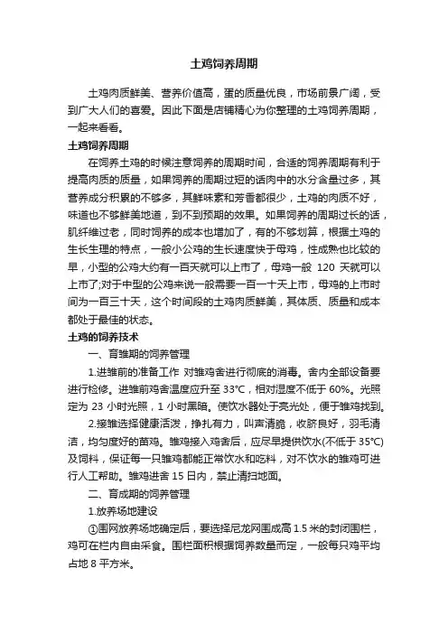 土鸡饲养周期