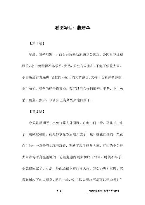 看图写话：蘑菇伞