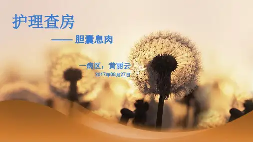 胆囊息肉护理查房ppt课件