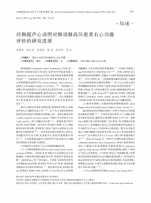 经胸超声心动图对肺动脉高压患者右心功能评价的研究进展