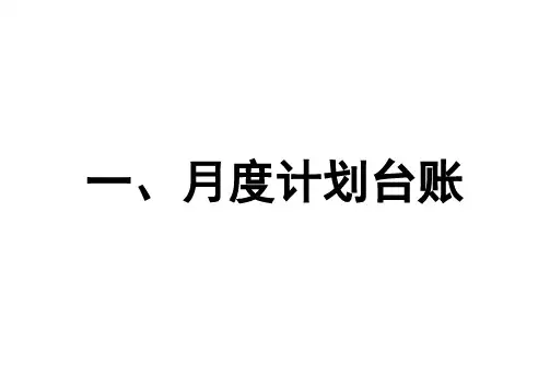 月度计划台账(模式)