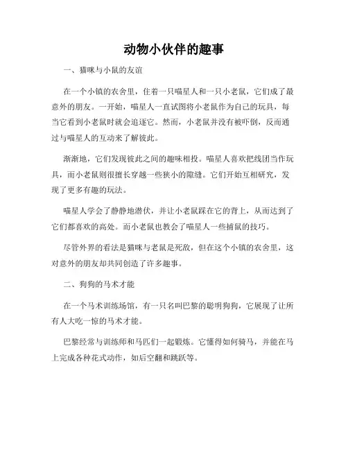 动物小伙伴的趣事