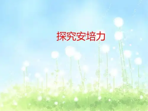 上海科技教育出版社(沪科版)高中物理选修3-1：探究安培力_课件3
