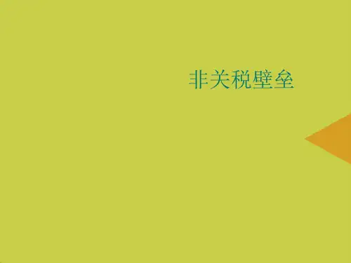 非关税壁垒推选PPT资料