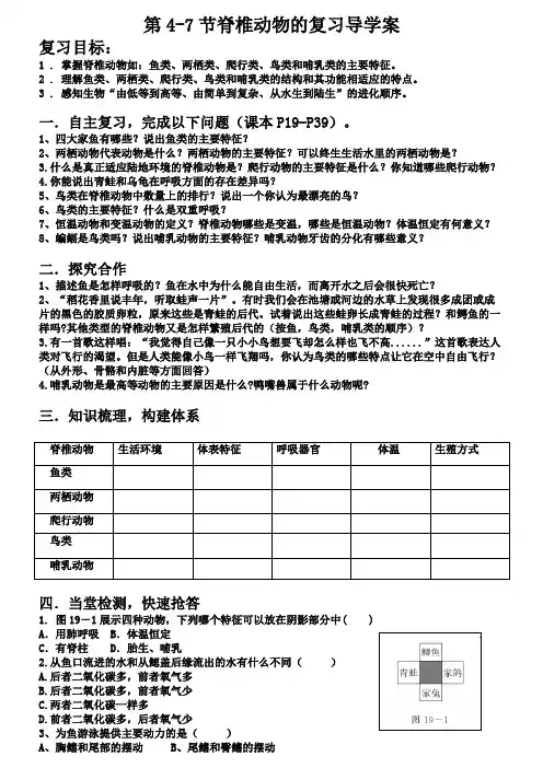 脊椎动物的复习优质课+导学案