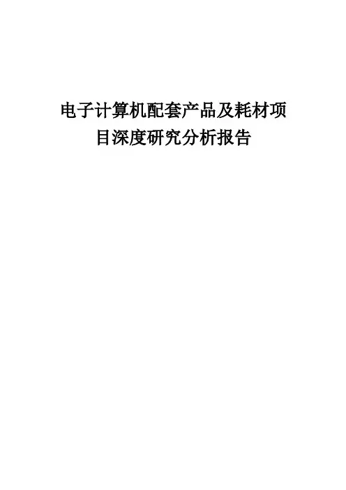 2024年电子计算机配套产品及耗材项目深度研究分析报告