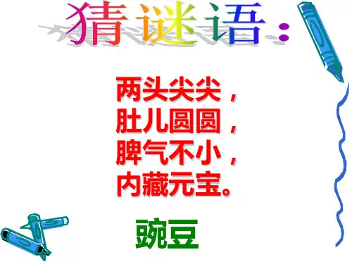 S版三年级《一颗小豌豆》