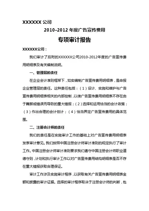 广告费用专项审计报告