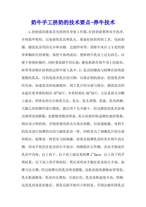 奶牛手工挤奶的技术要点 - 养牛技术