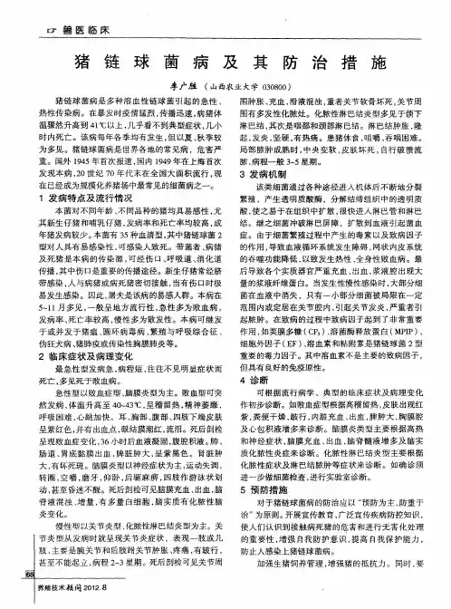 猪链球菌病及其防治措施