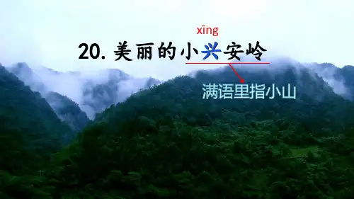 20《美丽的小兴安岭》课件(共36张PPT)
