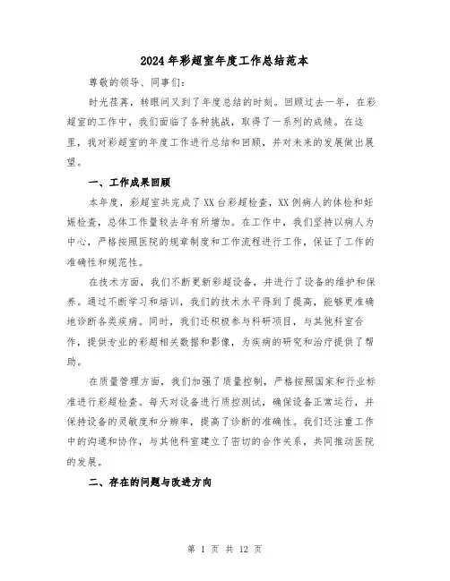 2024年彩超室年度工作总结范本(二篇)
