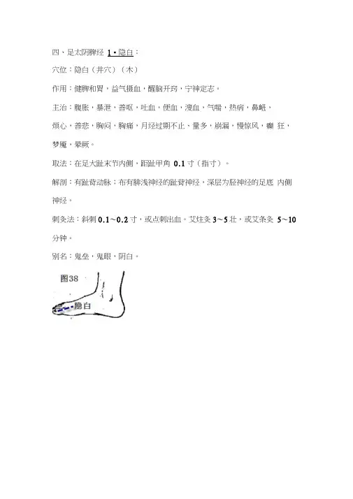 足太阴脾经
