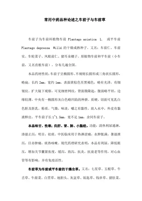 常用中药品种论述之车前子与车前草