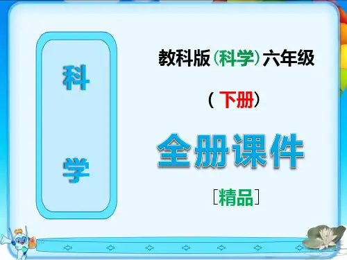 教科版六年级科学下册全册全套课件