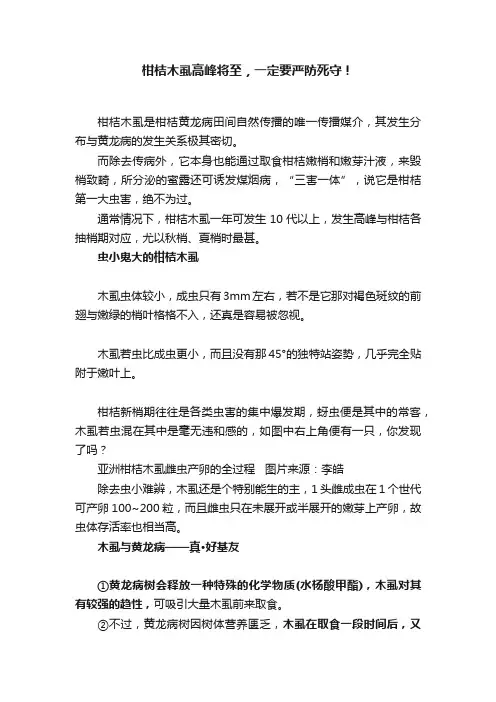 柑桔木虱高峰将至，一定要严防死守！