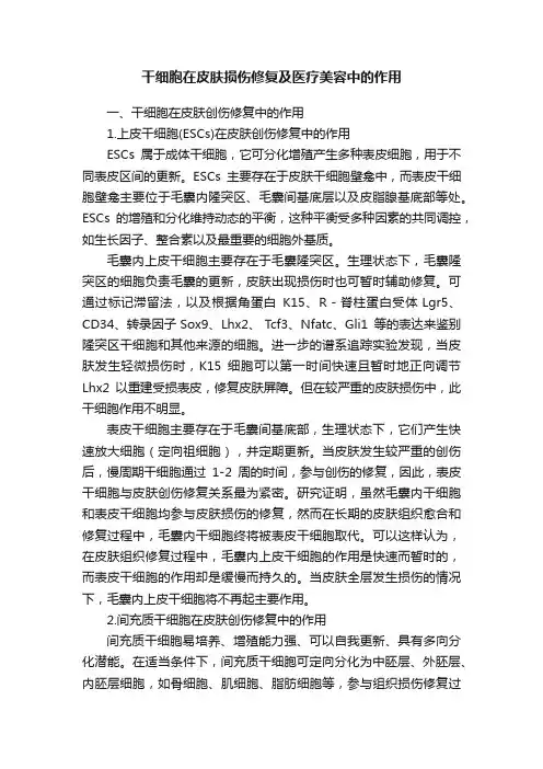 干细胞在皮肤损伤修复及医疗美容中的作用