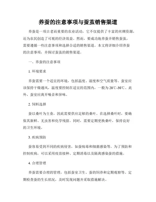 养蚕的注意事项与蚕茧销售渠道