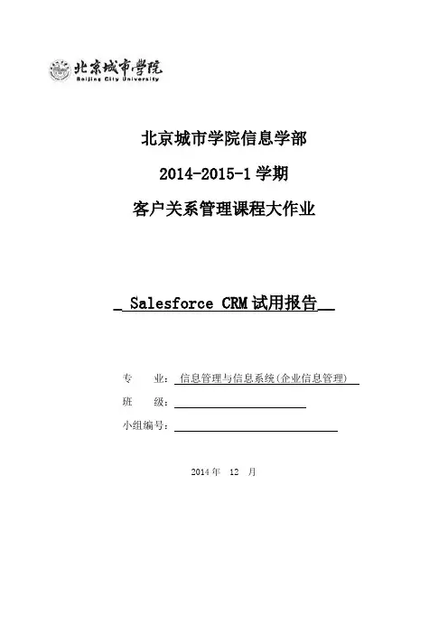 SalesforceCRM试用报告