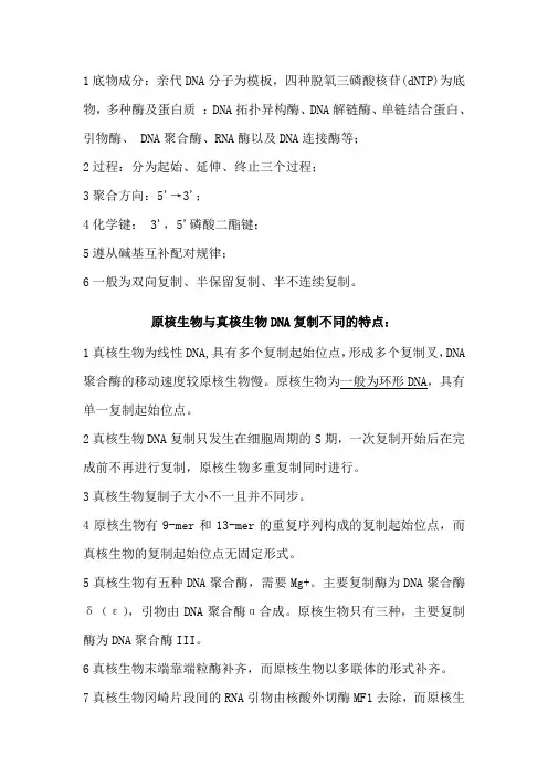 原核生物与真核生物DNA复制过程及异同点