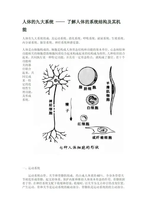 人体的九大系统——了解人体的系统结构及其机能