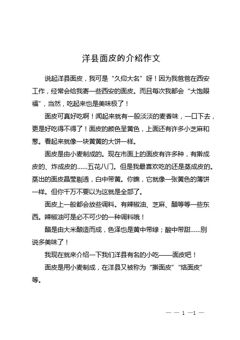 洋县面皮的介绍作文