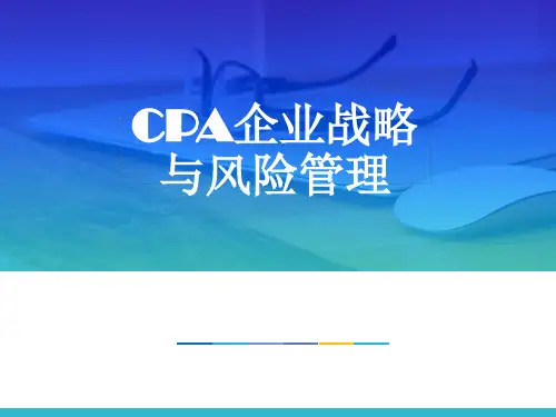 CPA企业战略与风险管理 第三章 第4节