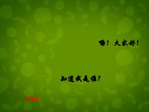 七年级语文下册17《国宝—大熊猫》课件(新版)苏教版