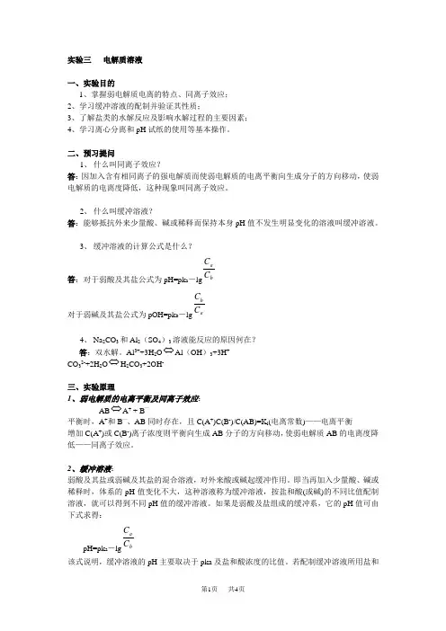 高中化学 实验三电解质溶液