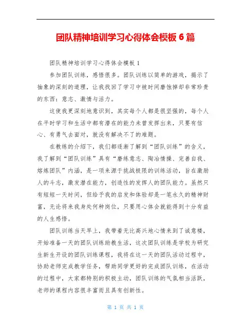 团队精神培训学习心得体会模板6篇