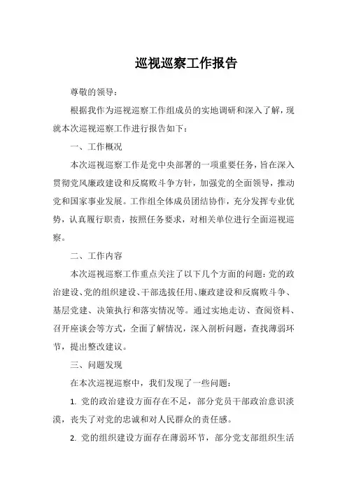 巡视巡察工作报告