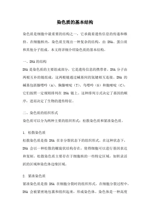 染色质的基本结构