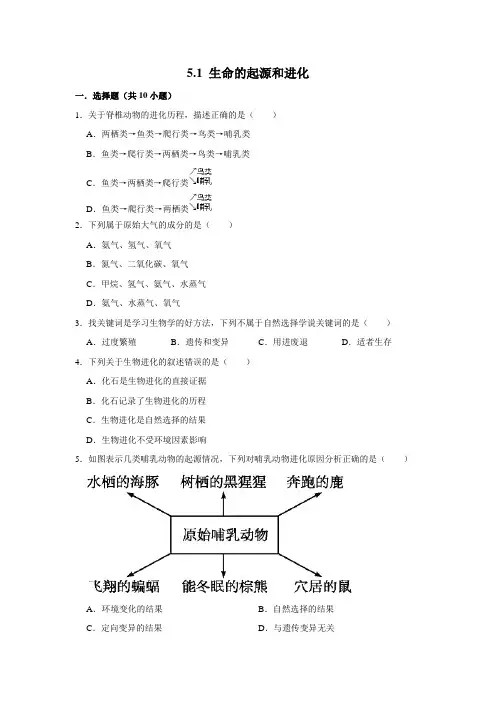 济南版生物八年级下册生命的起源和进化