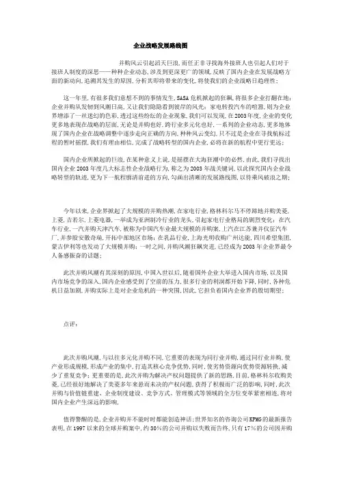 企业战略发展路线图