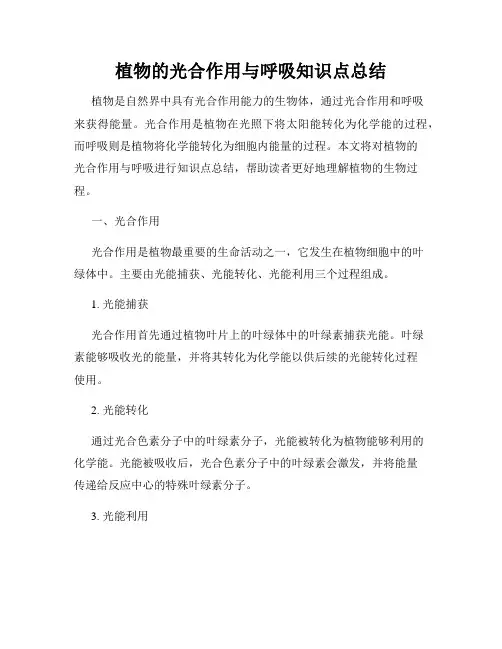 植物的光合作用与呼吸知识点总结