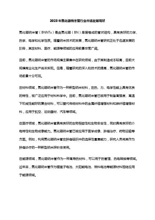 2023年氮化硼纳米管行业市场发展现状