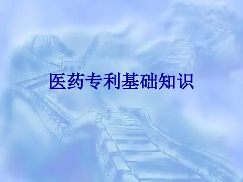 专利知识讲座ppt课件