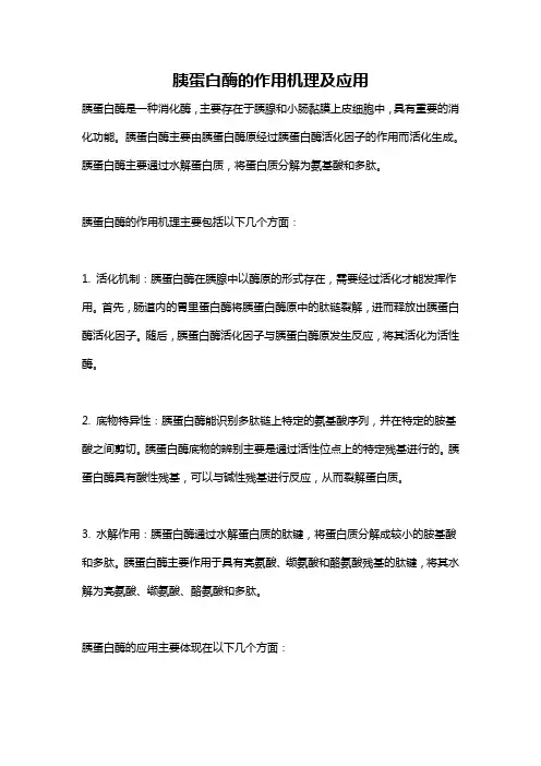 胰蛋白酶的作用机理及应用