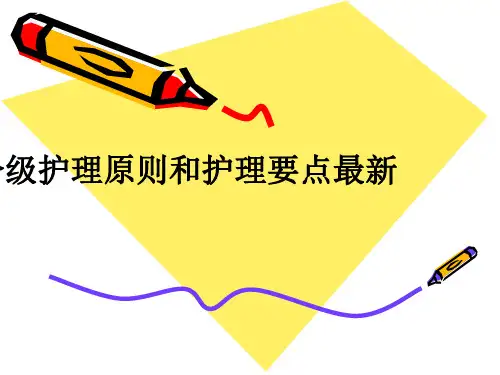 分级护理原则和护理要点最新ppt课件
