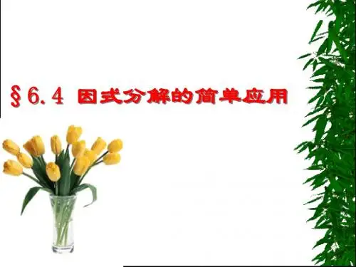 6.4因式分解的简单应用OK