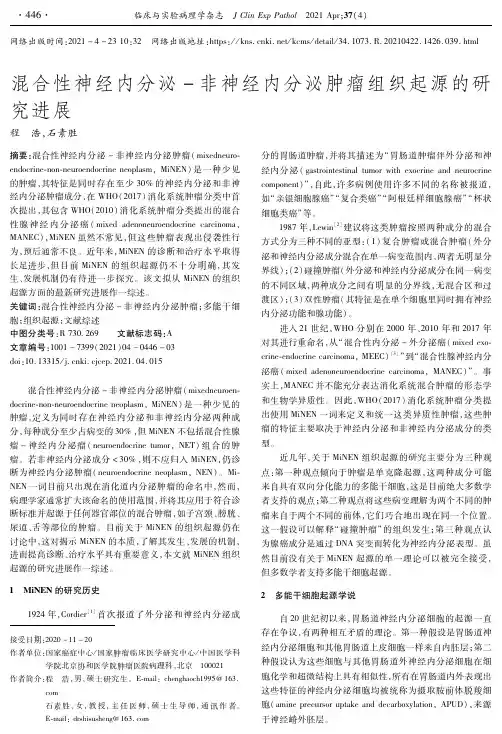 混合性神经内分泌-非神经内分泌肿瘤组织起源的研究进展
