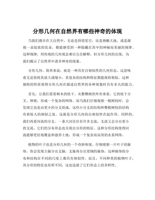 分形几何在自然界有哪些神奇的体现
