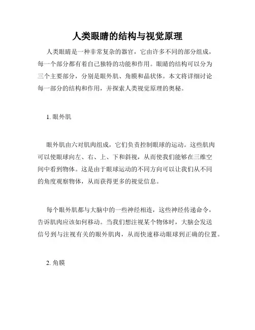 人类眼睛的结构与视觉原理