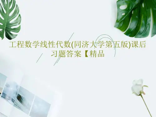 工程数学线性代数(同济大学第五版)课后习题答案【精品共223页