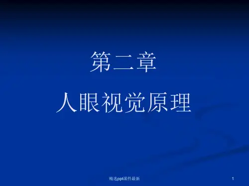 人眼视觉原理PPT课件